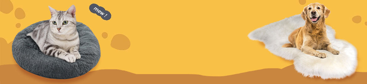 Love Your Pet Day Choice