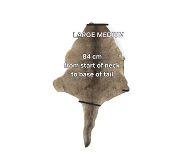 Bush Ugg Kangaroo Skin Rug M/l UGG EXPRESS