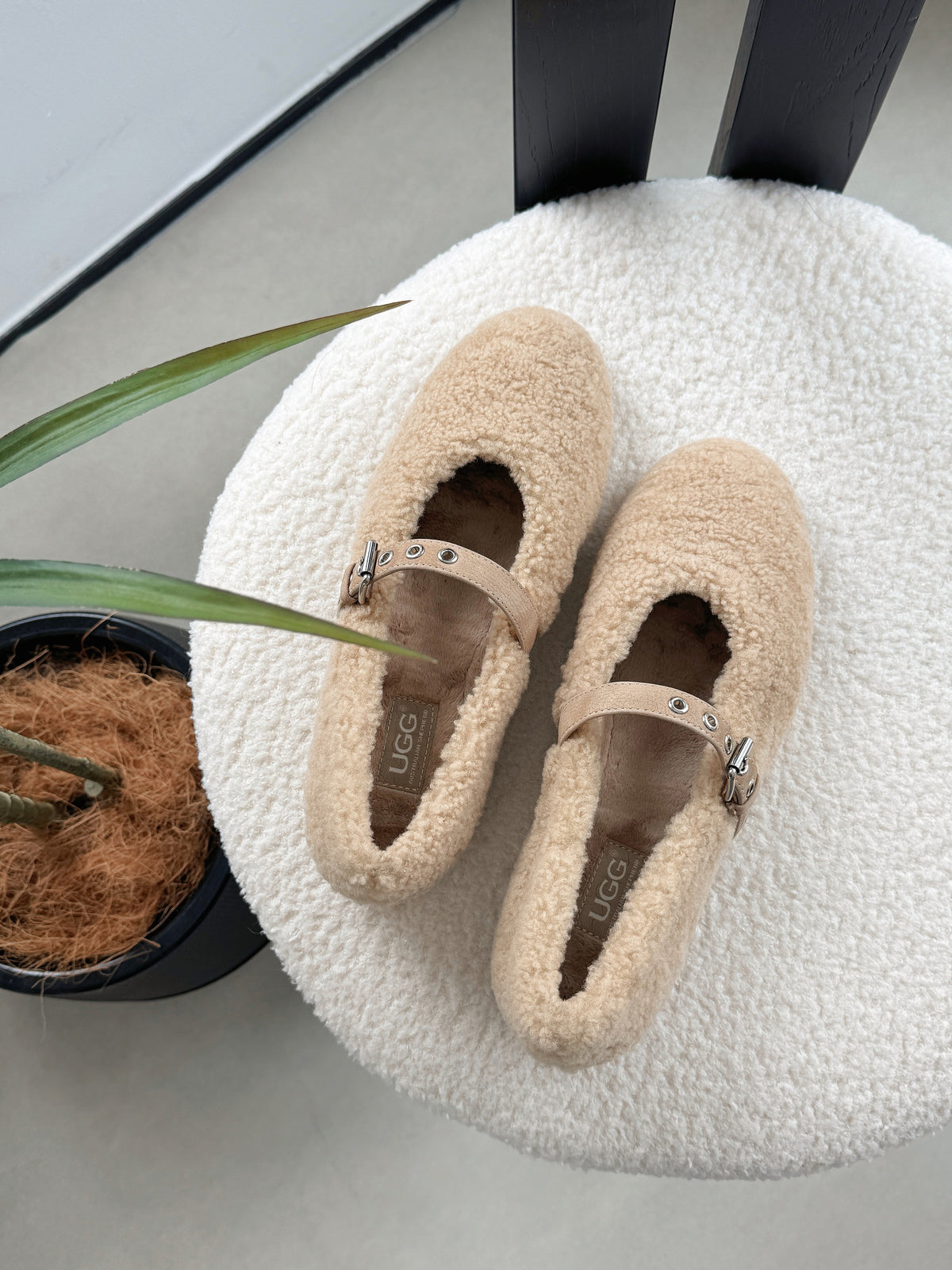 AUSTRALIAN SHEPHERD® Women UGG Slippers Bouclé Wool Melie Curl