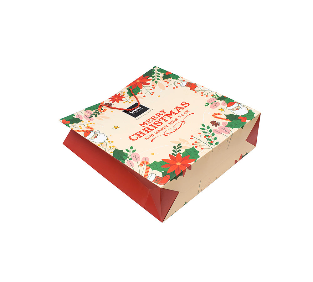 Accessories - Premium Christmas New Year Gift Paper Bag With Handle